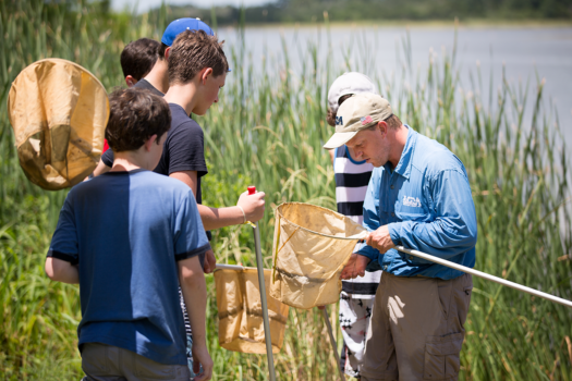 A group of boys with nets listen to an adult man showing them something by a lakeside, with tall reeds in the background on a sunny day.